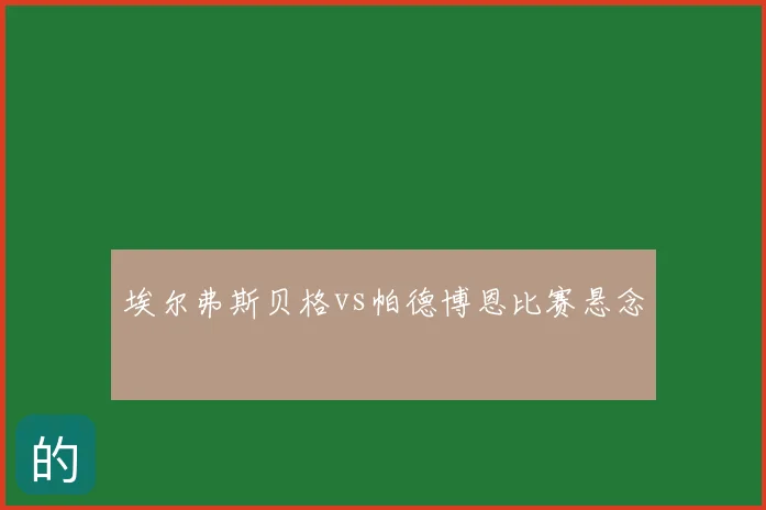 埃尔弗斯贝格vs帕德博恩比赛悬念